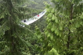 The Capilano Suspension Bridge was built in 1889 and stretches 450 feet across Capilano Canyon and 230 feet above Capilano River.
